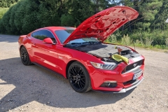 86