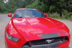 87